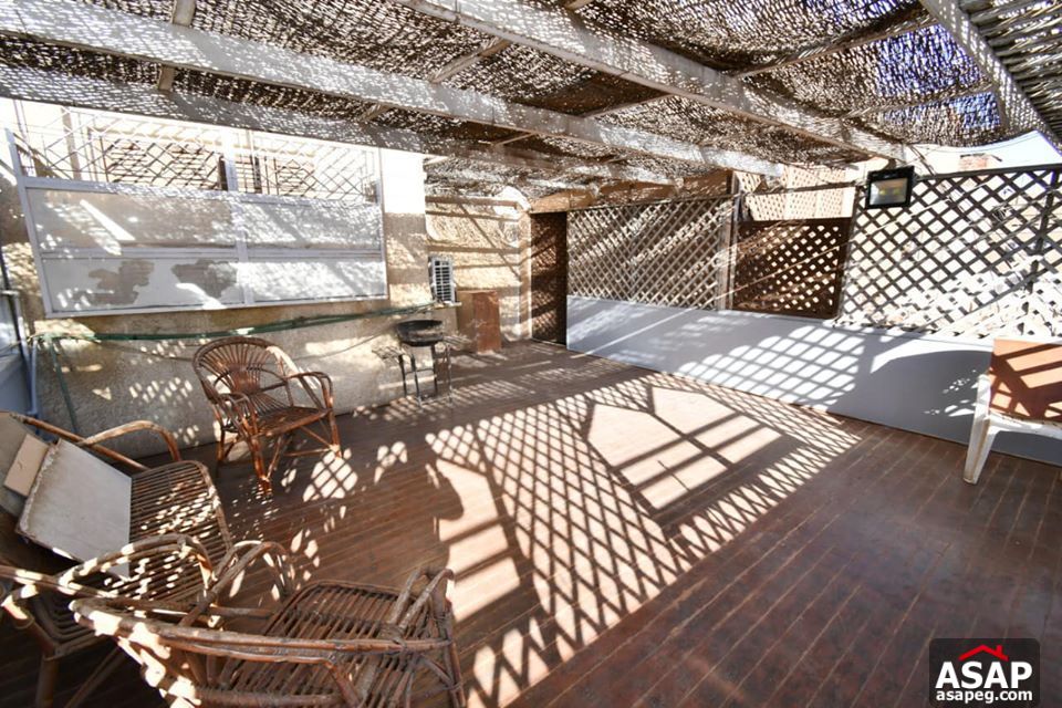 Penthouse for Rent in Zamalek Penthouse for Rent in Zamalek