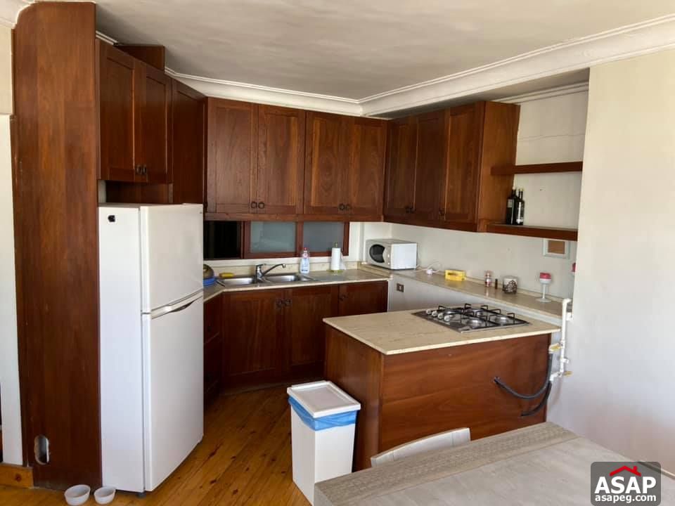 Apartment for Rent in Zamalek Apartment for Rent in Zamalek