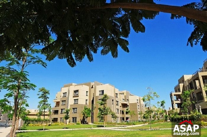 Apartment for Sale in Palm Parks Compound Apartment for Sale in Palm Parks Compound