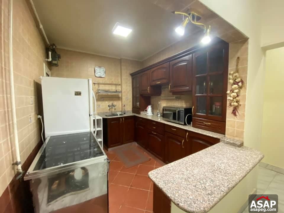 Flats for Rent in Zamalek Flats for Rent in Zamalek