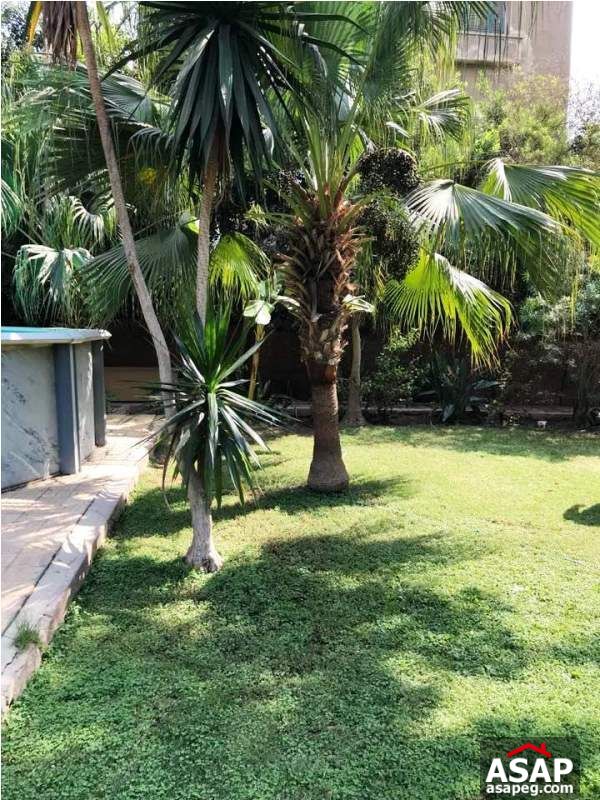 Furnished Villa with Swimming Pool in Maadi for Rent Furnished Villa with Swimming Pool in Maadi for Rent
