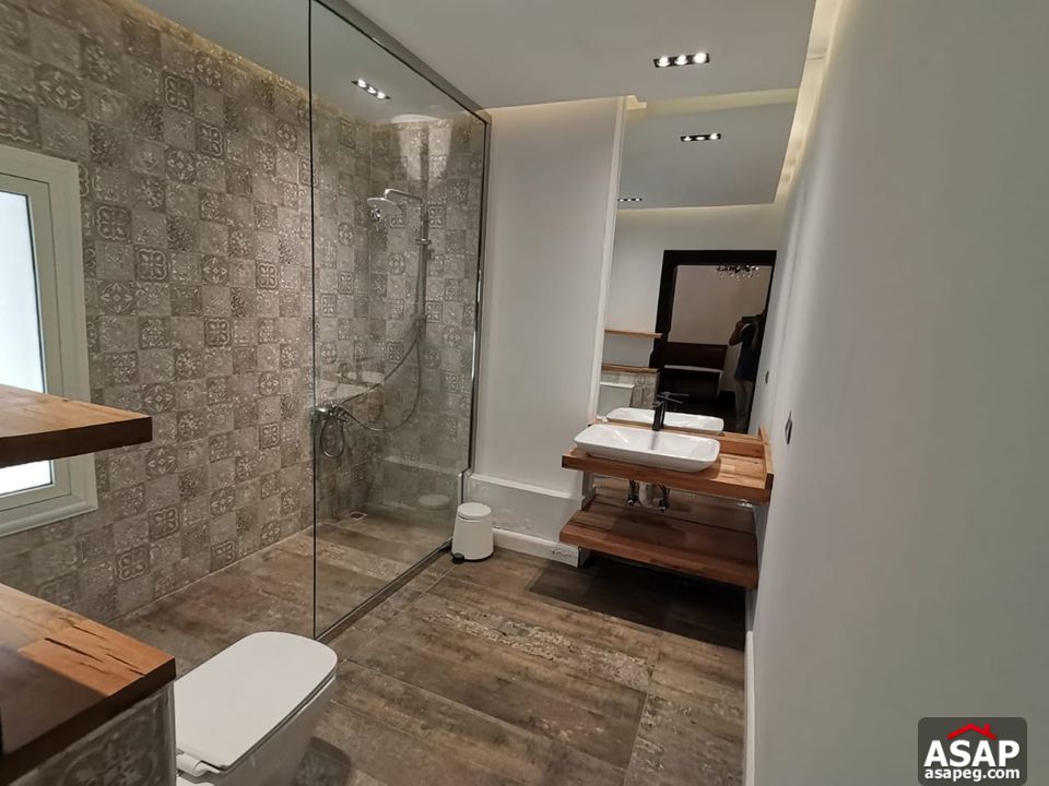 Furnished Apartment for Rent in Maadi Degla