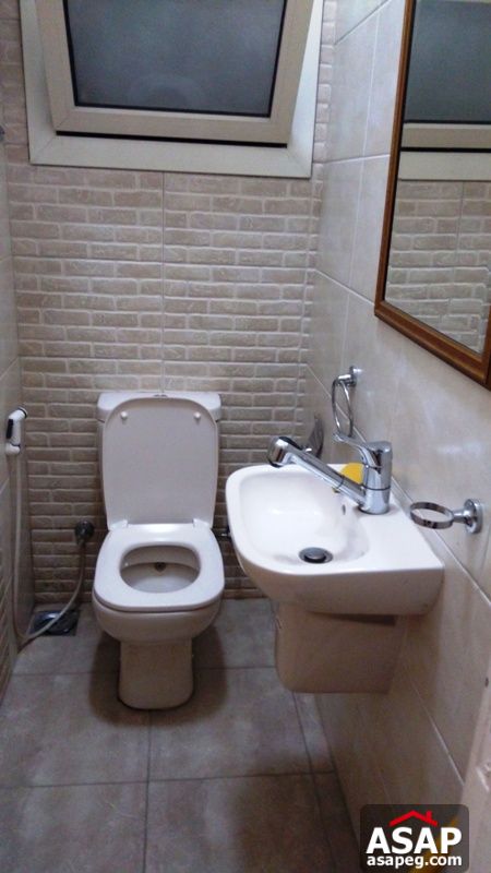 Furnished Apartment with Balcony in Zamalek Furnished Apartment with Balcony in Zamalek