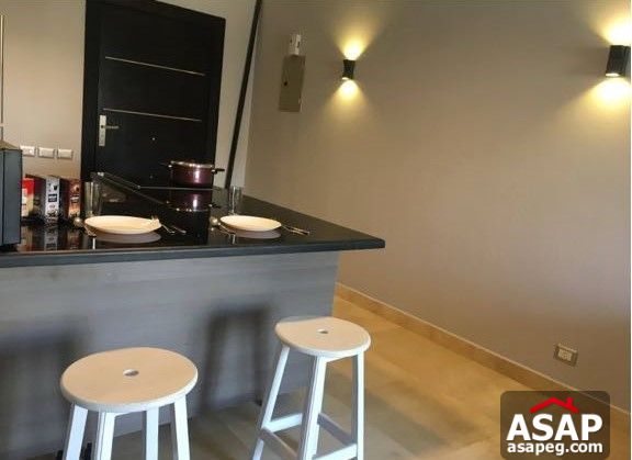 Furnished Studio for Rent in the Village Furnished Studio for Rent in the Village