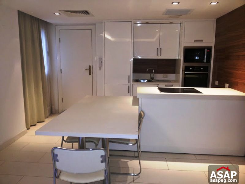 Apartment with Garden in Zamalek Apartment with Garden in Zamalek