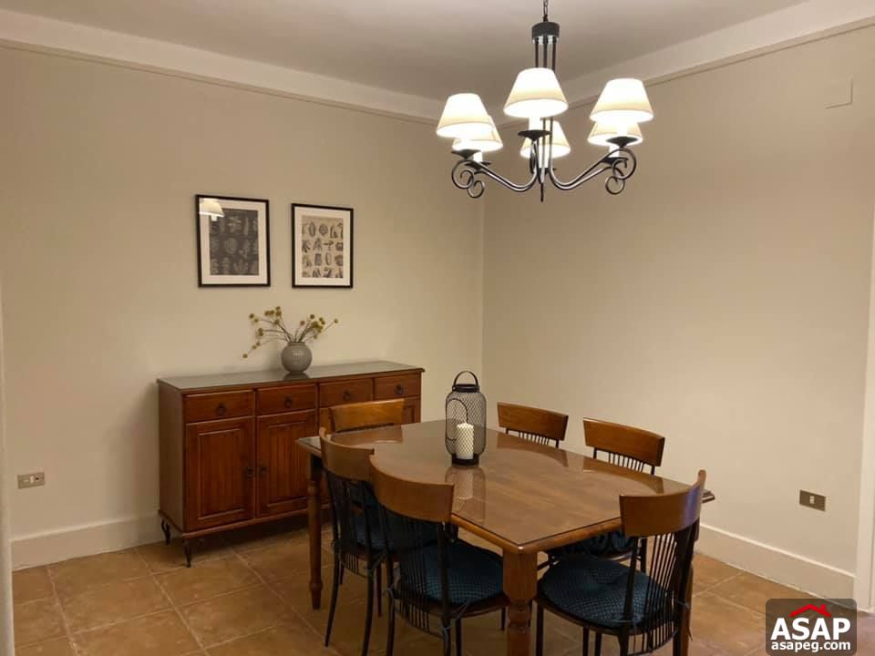 Apartment for Rent in Zamalek Apartment for Rent in Zamalek