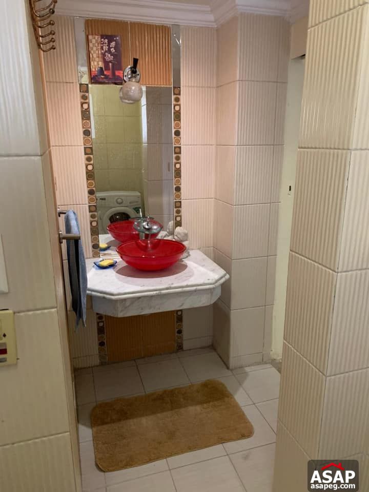 Apartments for Rent in Zamalek Apartments for Rent in Zamalek