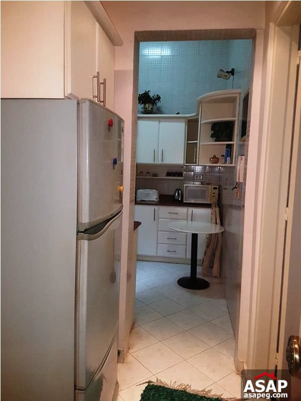 Apartment with Big Terrace for Rent in Zamalek Apartment with Big Terrace for Rent in Zamalek