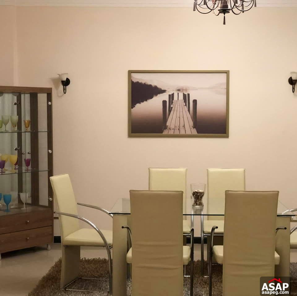 Apartment for Rent in Zamalek Apartment for Rent in Zamalek
