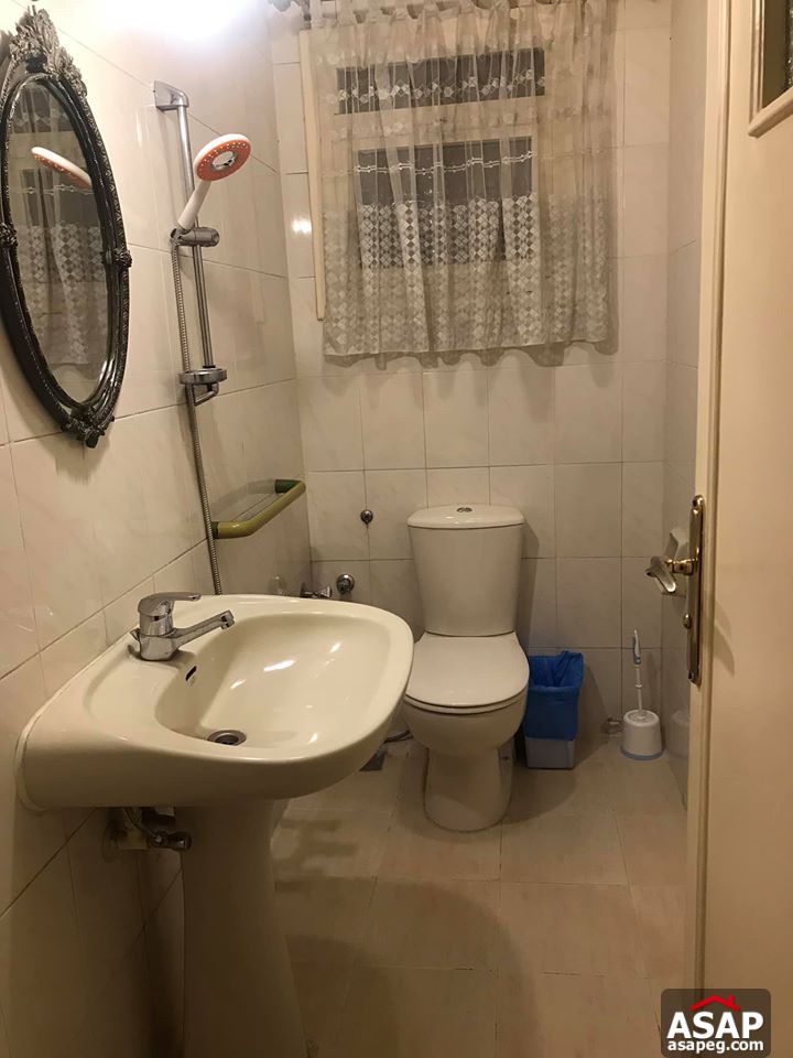 Apartment for Rent in Zamalek Apartment for Rent in Zamalek