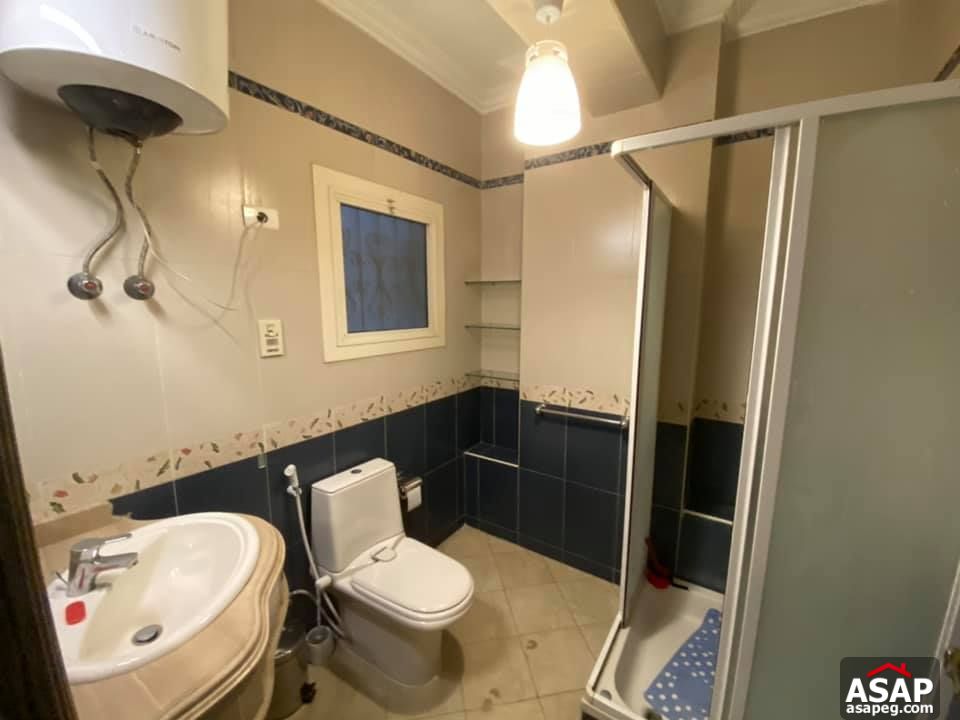 Apartment for Rent in Zamalek Apartment for Rent in Zamalek