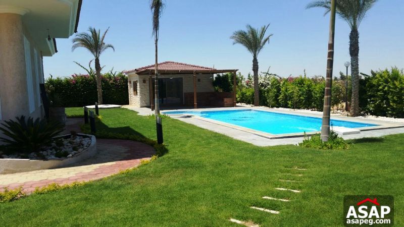 Twin House for Rent in 6 October Twin House for Rent in 6 October