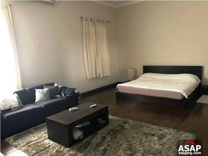 Furnished Apartment for Rent in Zamalek