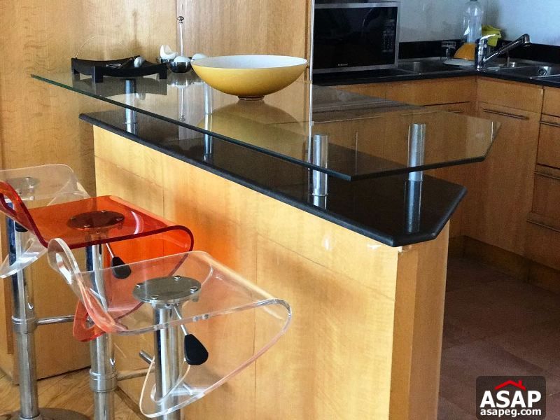 Furnished Studio for Rent in Zamalek Furnished Studio for Rent in Zamalek