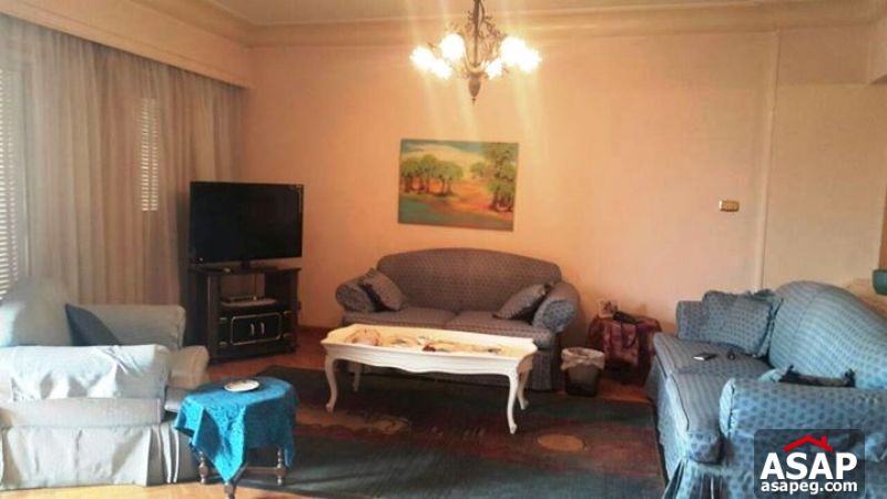 Apartment for Rent in Zamalek Apartment for Rent in Zamalek