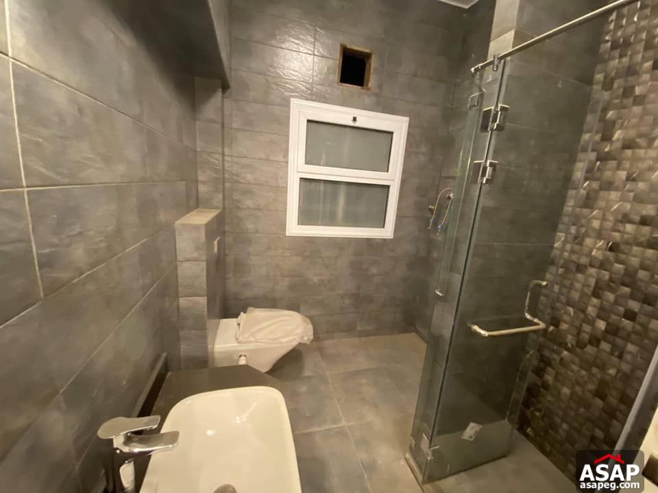 Apartment for Rent in Zamalek Apartment for Rent in Zamalek