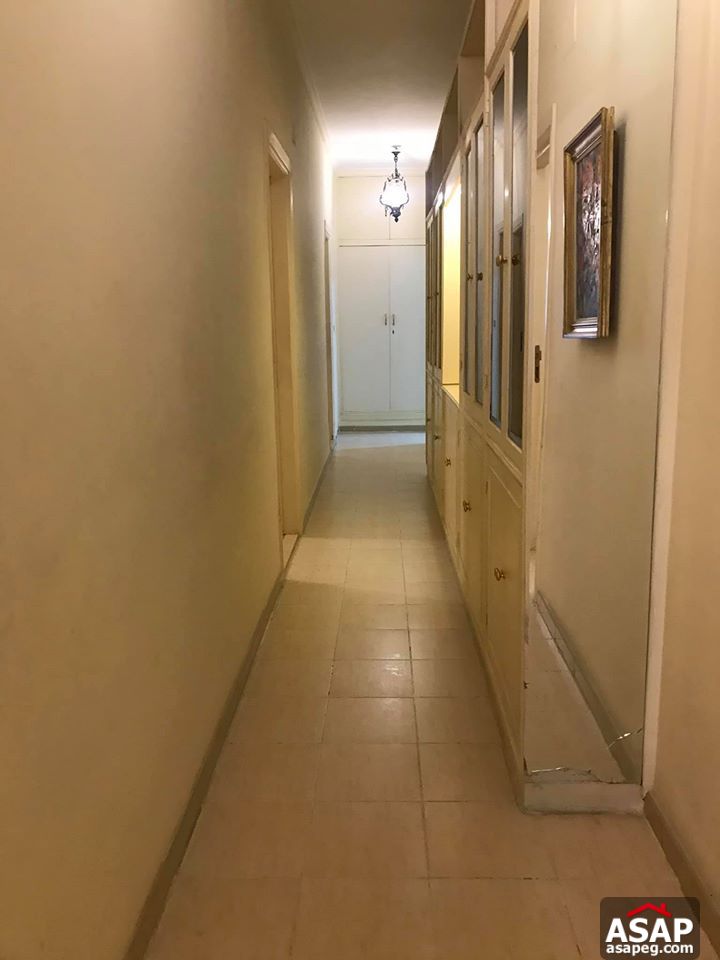 Apartment for Rent in Zamalek Apartment for Rent in Zamalek