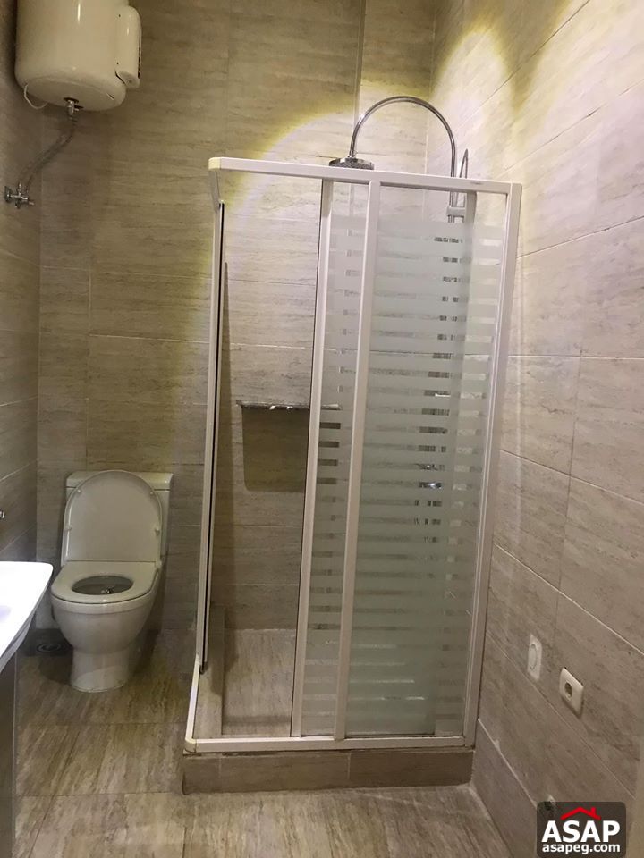 Flat for Rent in Zamalek Flat for Rent in Zamalek