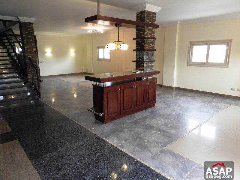 Modern Penthouse for Rent in Zamalek Modern Penthouse for Rent in Zamalek