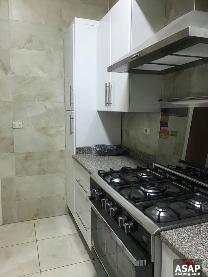 Flat for Rent in Zamalek Flat for Rent in Zamalek