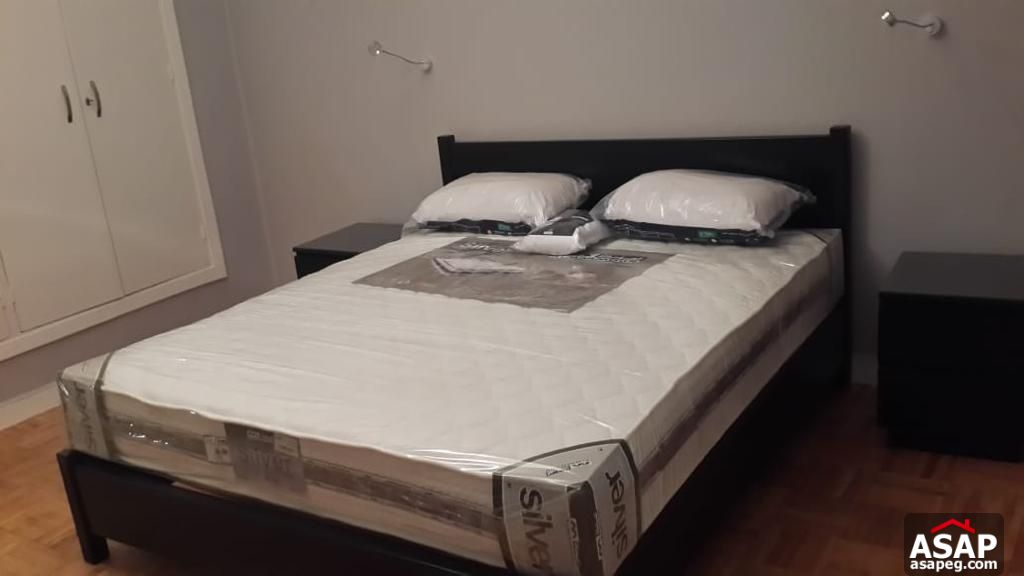 Furnished Flat for Rent in Zamalek Furnished Flat for Rent in Zamalek