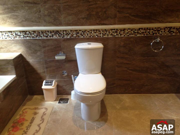 Apartment with Nile View for Rent in Zamalek Apartment with Nile View for Rent in Zamalek