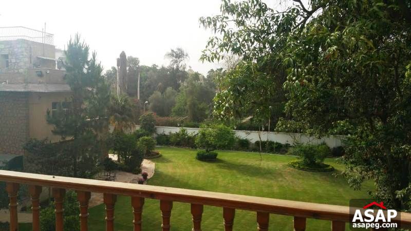 Apartment for Rent in Sarayat Maadi Apartment for Rent in Sarayat Maadi