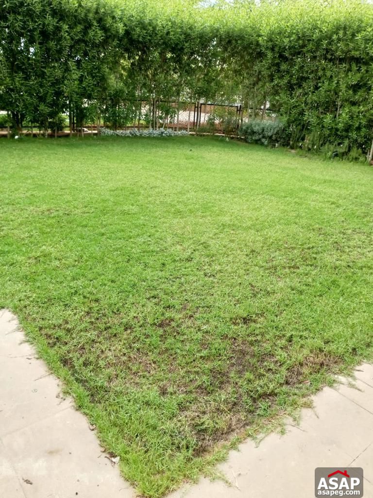 Duplex with Garden for Rent in Eastown Sodic