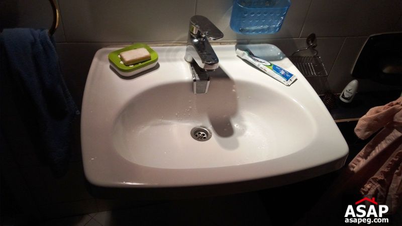 Apartment for rent in dokki Apartment for rent in dokki