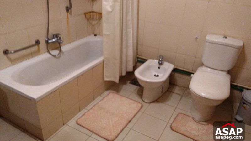 Furnished Apartment with Nile View in Zamalek Furnished Apartment with Nile View in Zamalek