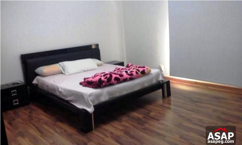 Furnished Apartment for Rent in Mohandiseen Furnished Apartment for Rent in Mohandiseen