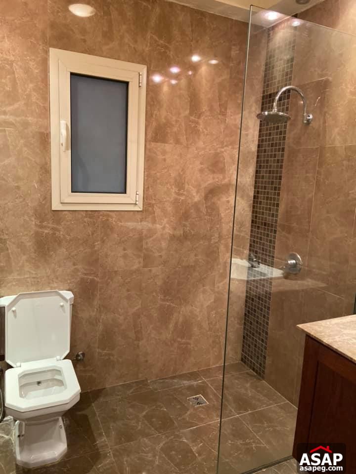 Apartment for Rent in Zamalek Apartment for Rent in Zamalek