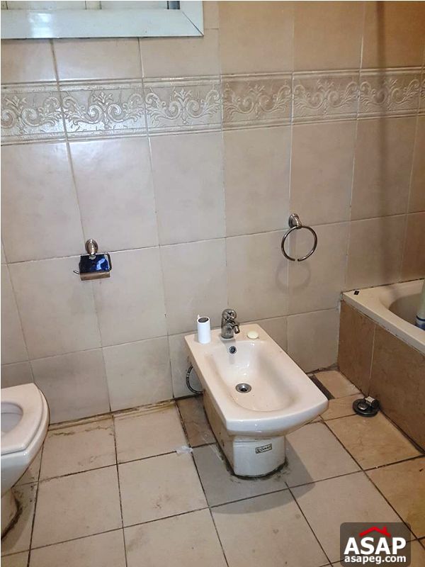 Apartment for Sale in Zamalek Apartment for Sale in Zamalek