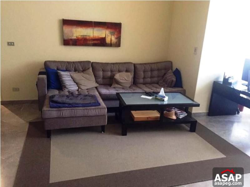 Nice Apartment in Zamalek for Rent Nice Apartment in Zamalek for Rent
