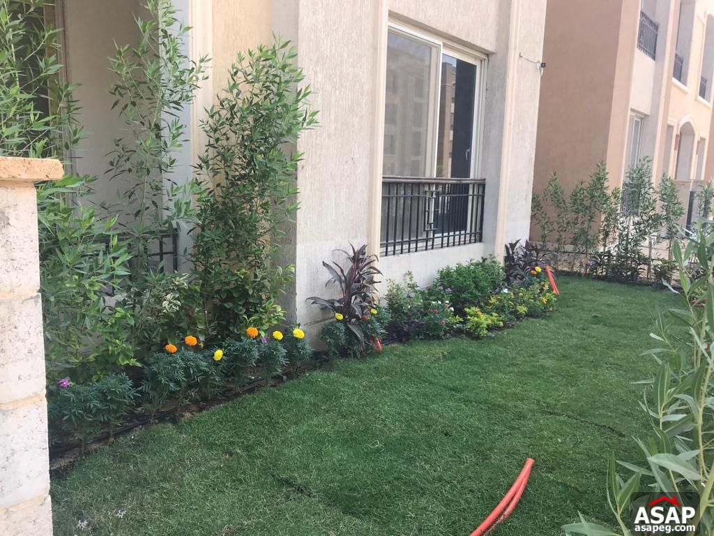 Ground Floor for Rent in Stone Residence Ground Floor for Rent in Stone Residence