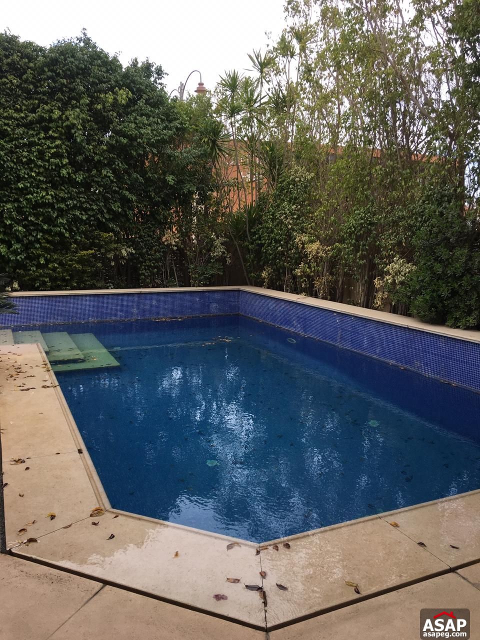 Twin House with Pool for Rent in Katameya Residence