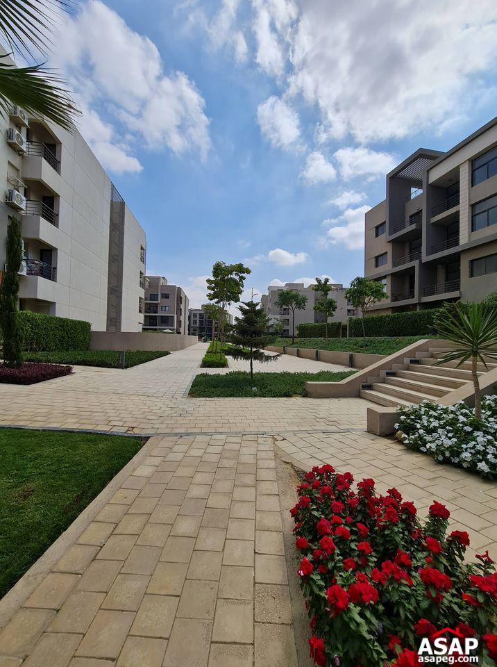 Penthouse for Rent in Fifth Square Compound