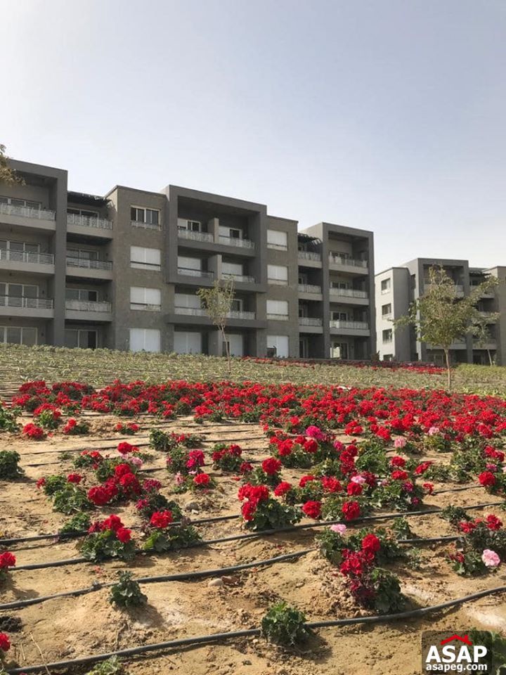 Apartment for Rent in New Giza - 6 october Apartment for Rent in New Giza - 6 october