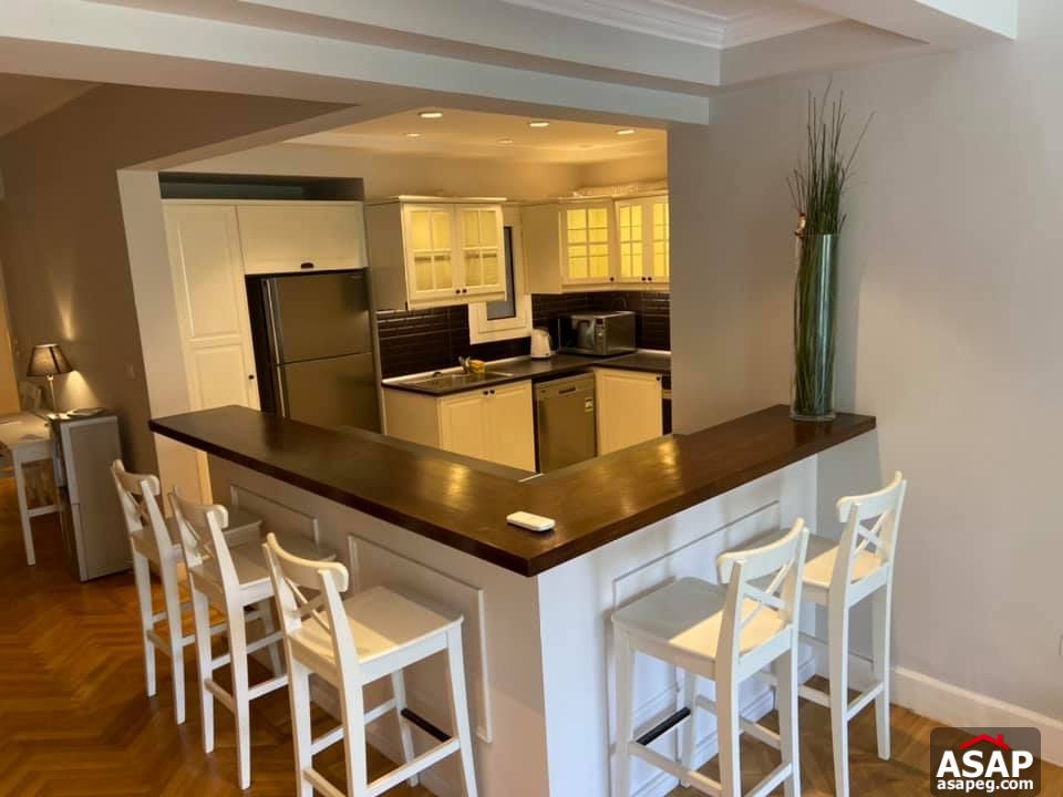 Apartment for Rent in Zamalek Apartment for Rent in Zamalek