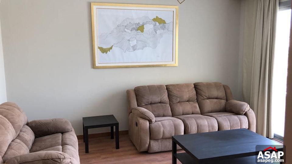 Twin House for Rent in Palm Hills - 6 October