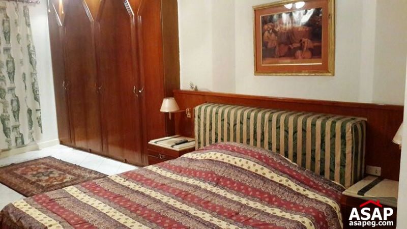 Furnished Apartment with Big Terrace in Zamalek Furnished Apartment with Big Terrace in Zamalek