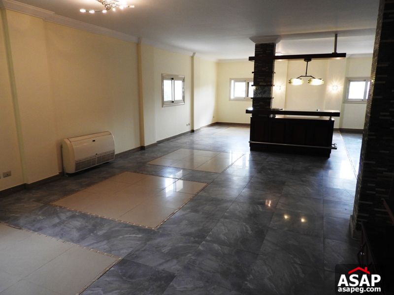 Modern Penthouse for Rent in Zamalek Modern Penthouse for Rent in Zamalek