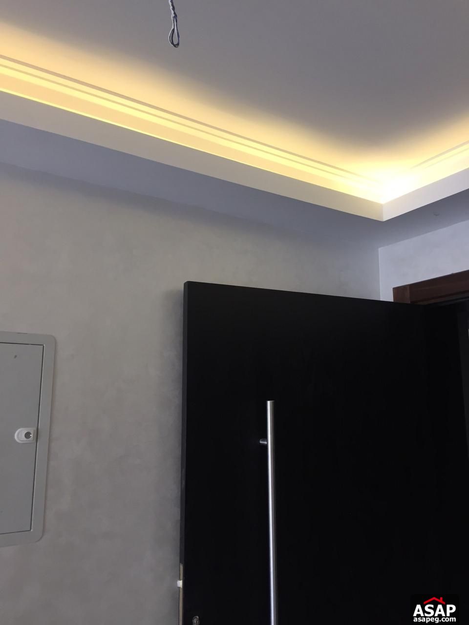 Modern Flat with Pool View for Rent in The WaterWay