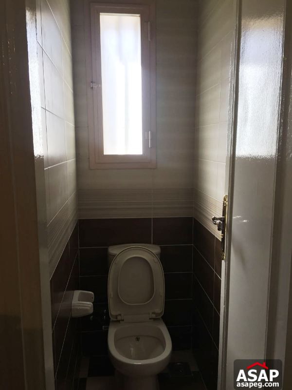 Fully Furnished Apartment in Zamalek Fully Furnished Apartment in Zamalek