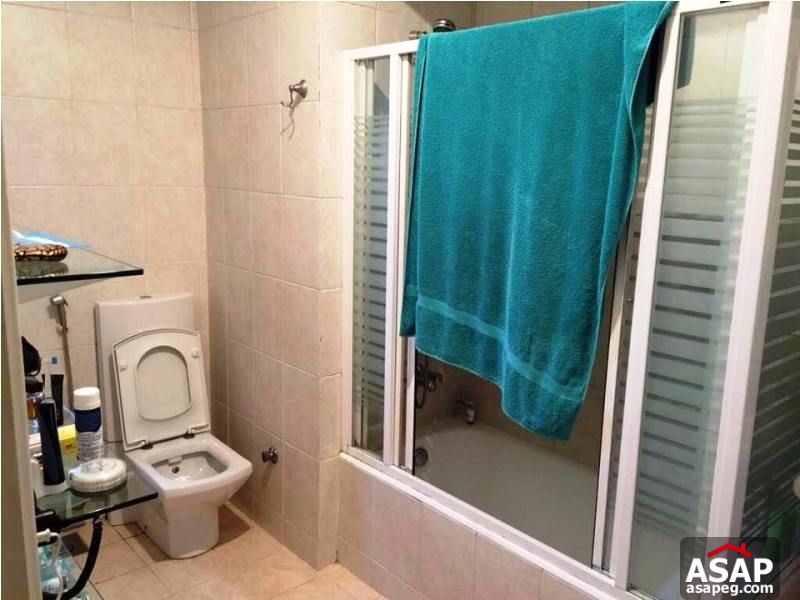 Apartment for Rent in Zamalek Apartment for Rent in Zamalek