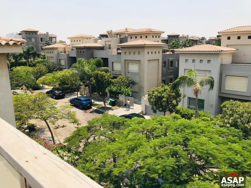 Penthouse for Rent in Bamboo Palm Hills