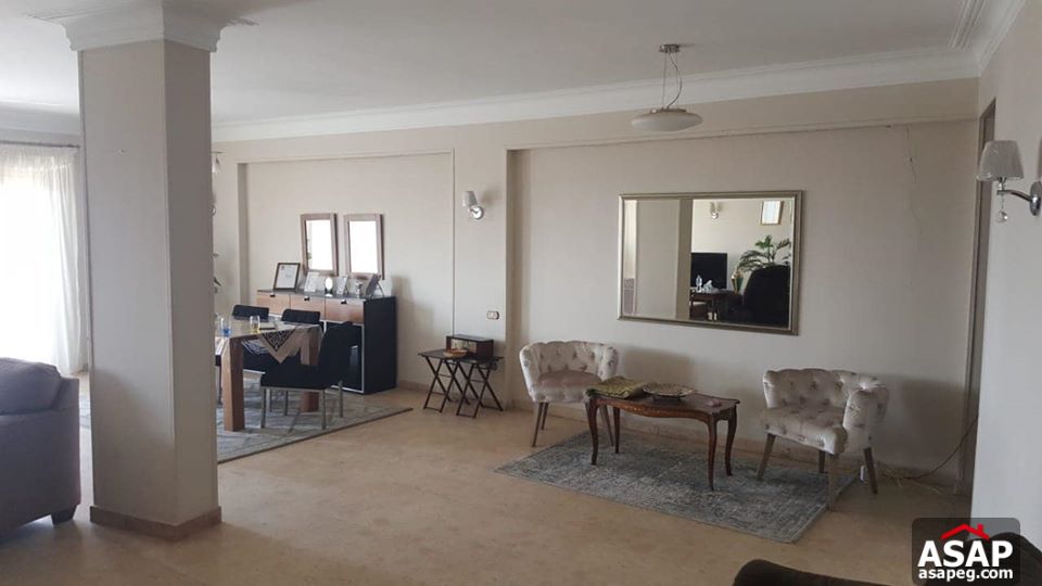 Apartment with Nile View for Sale in Zamalek Apartment with Nile View for Sale in Zamalek