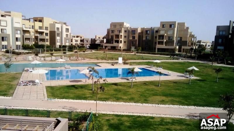 Apartment for Rent in Palm Parks - Sheikh Zayed