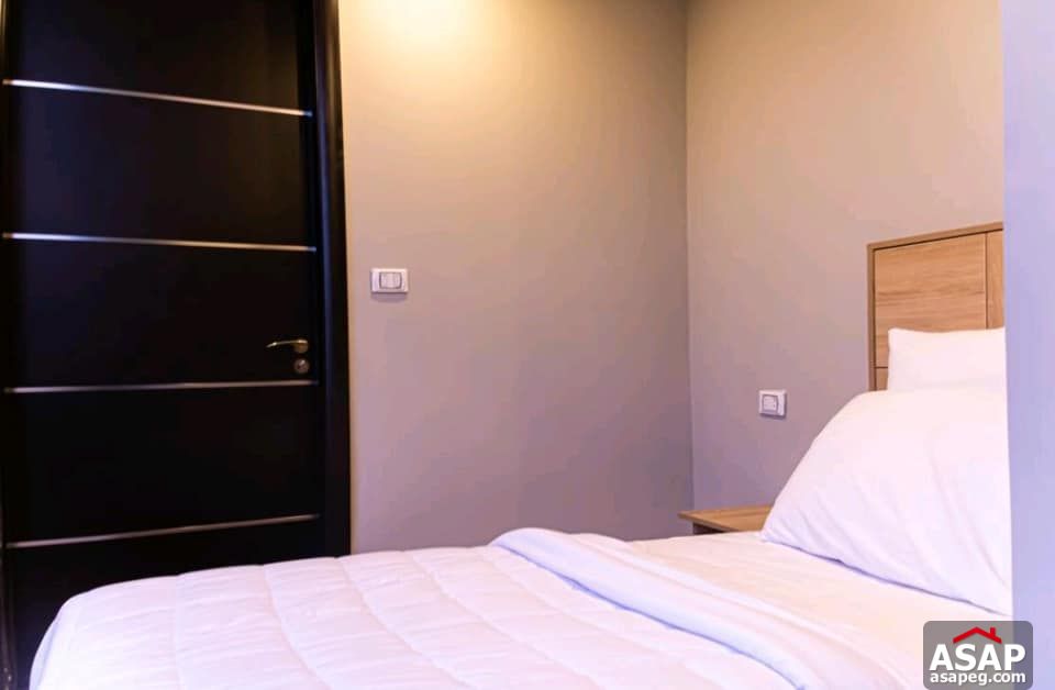 Furnished Flat for Rent in Zamalek Furnished Flat for Rent in Zamalek