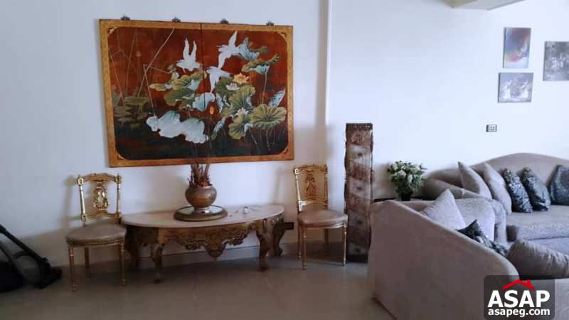 Furnished Flat for Rent in Zamalek Furnished Flat for Rent in Zamalek